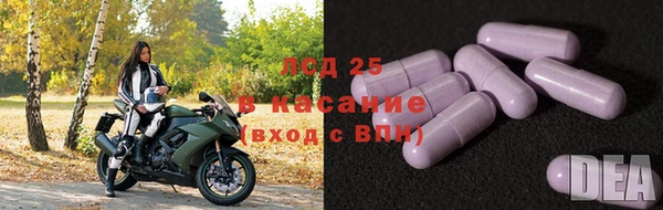 спиды Покачи