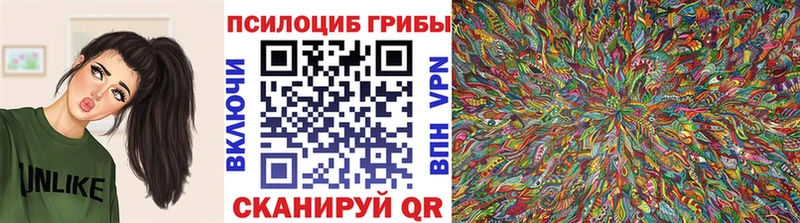 цены   Камень-на-Оби  Галлюциногенные грибы Cubensis 