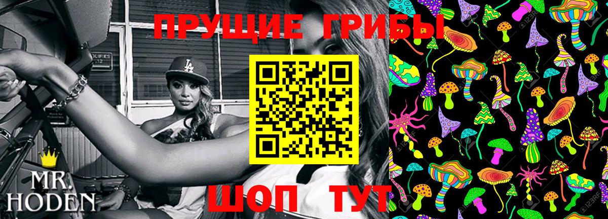 Галлюциногенные грибы GOLDEN TEACHER Камень-на-Оби