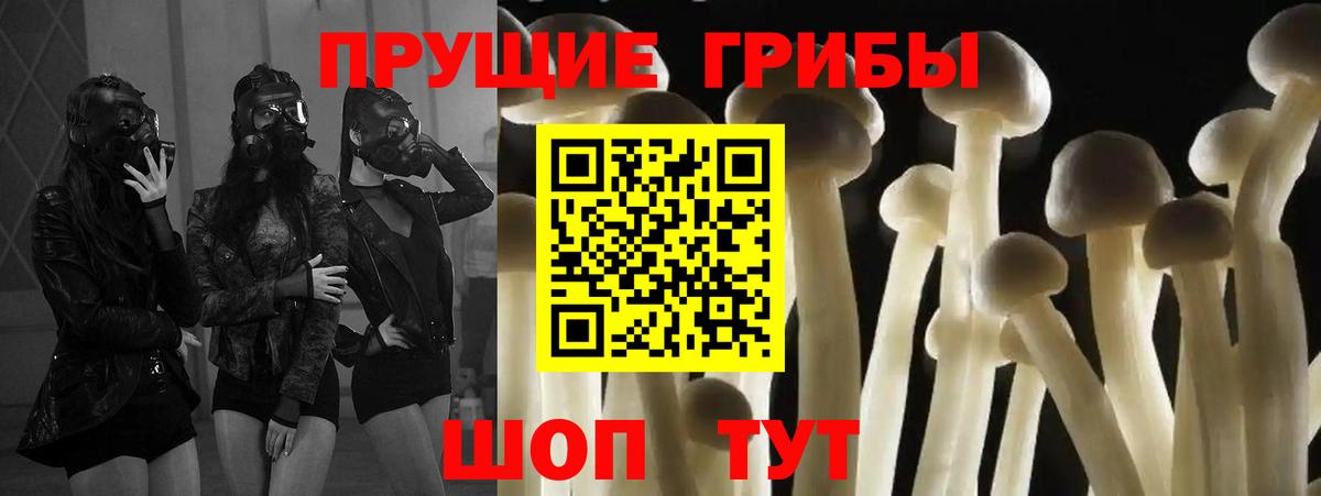 Галлюциногенные грибы мицелий  Вход с VPN  Камень-на-Оби 